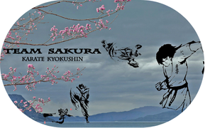 Team Sakura